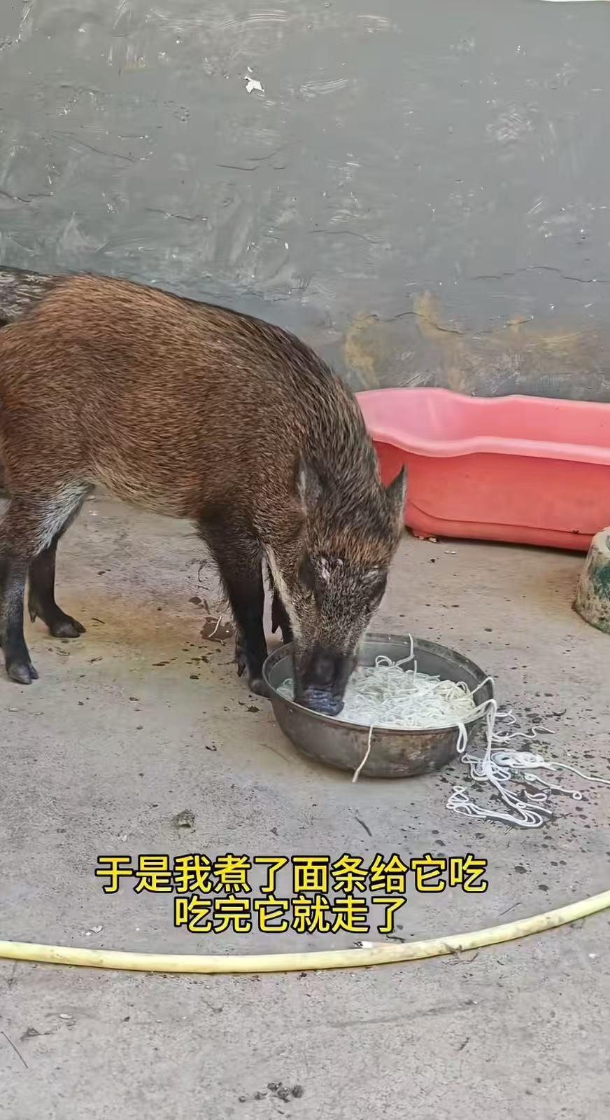 231765531792_.pic.jpg 231765531792_.pic.jpg