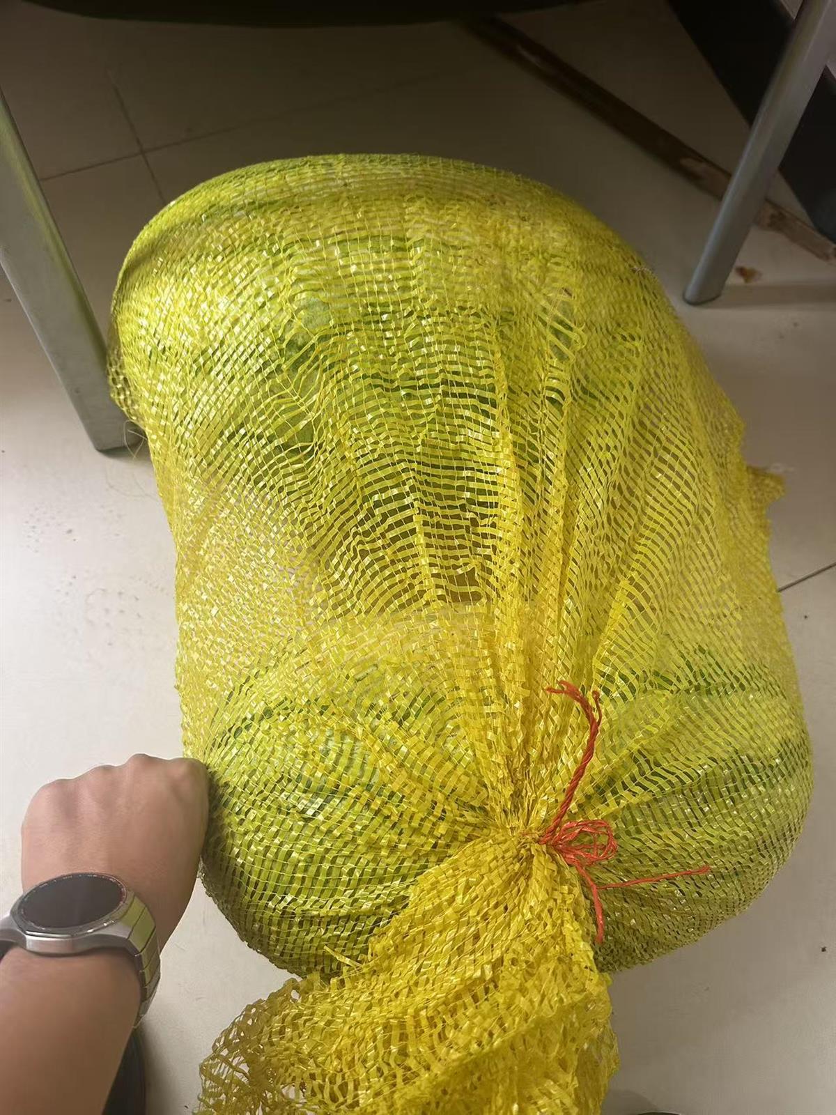 微信图片_20250723111941.jpg 微信图片_20250723111941.jpg