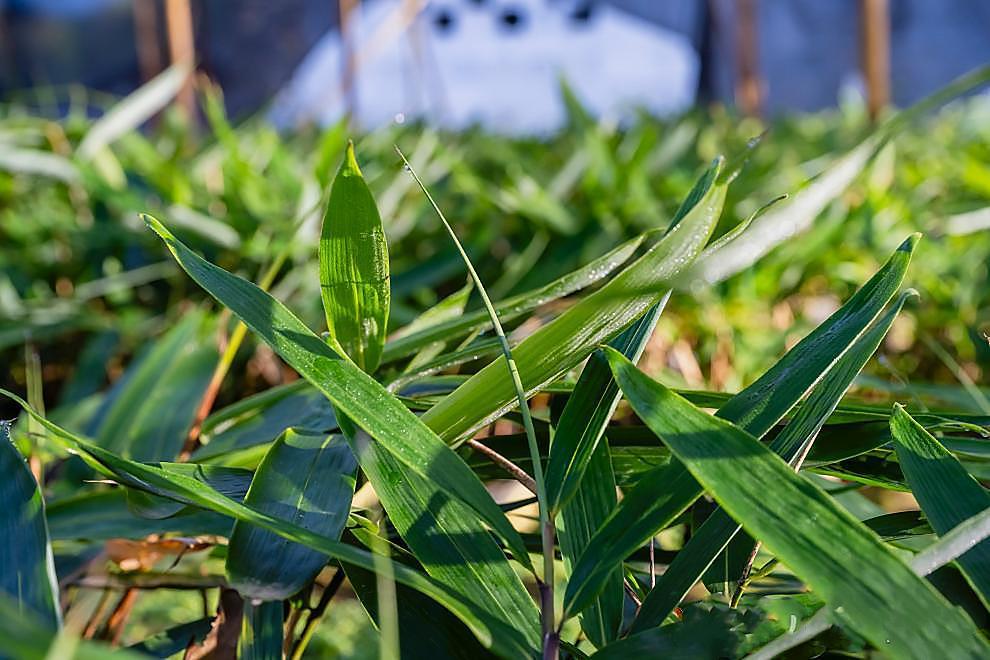 图片7.png 图片7.png