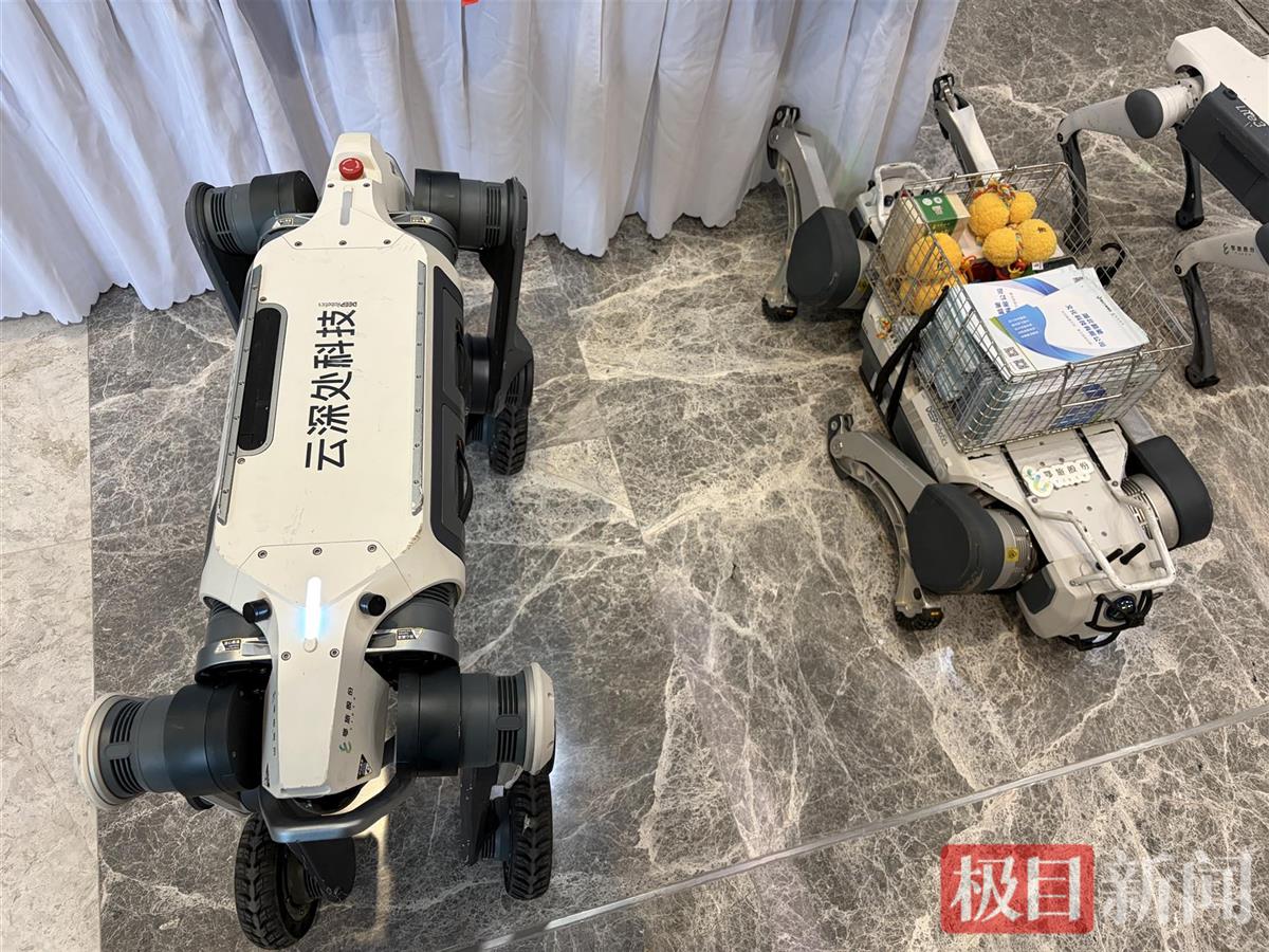 机器狗.jpg