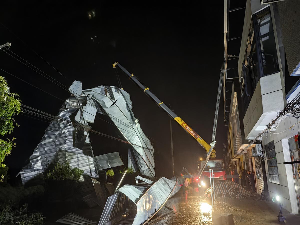 图片1.jpg 图片1.jpg