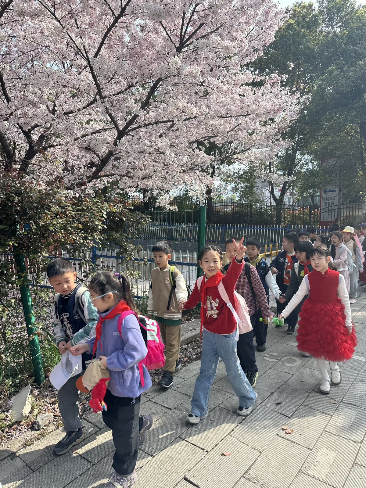 a708b62293342e46c3c8981d6082c381.jpg a708b62293342e46c3c8981d6082c381.jpg