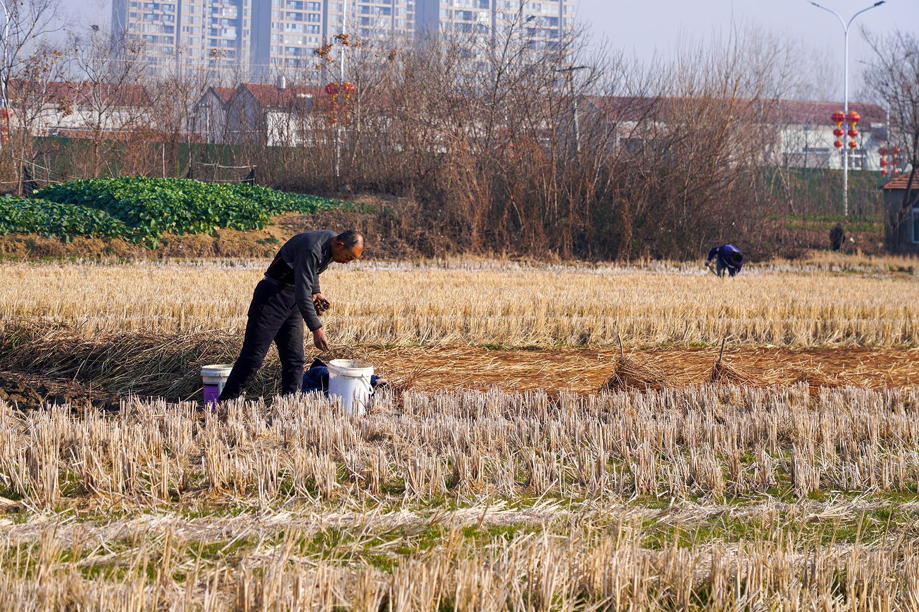 微信图片_20260116151650_56_1250.jpg 微信图片_20260116151650_56_1250.jpg