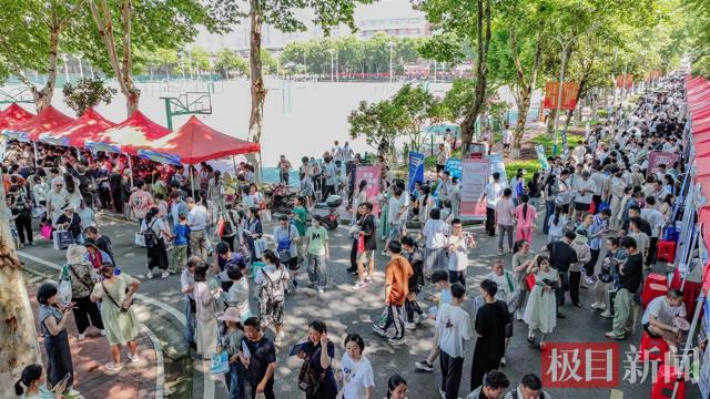 极目新闻高招咨询会6月14日举行，六大亮点助力荆楚学子圆梦
