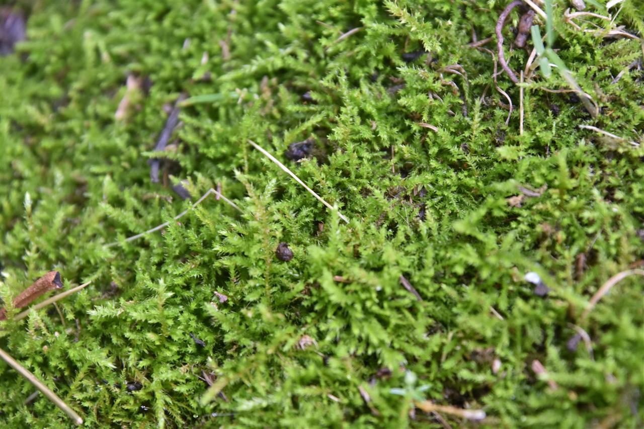 ccdcb20978c54a61581e76c5bc47f7e.jpg ccdcb20978c54a61581e76c5bc47f7e.jpg