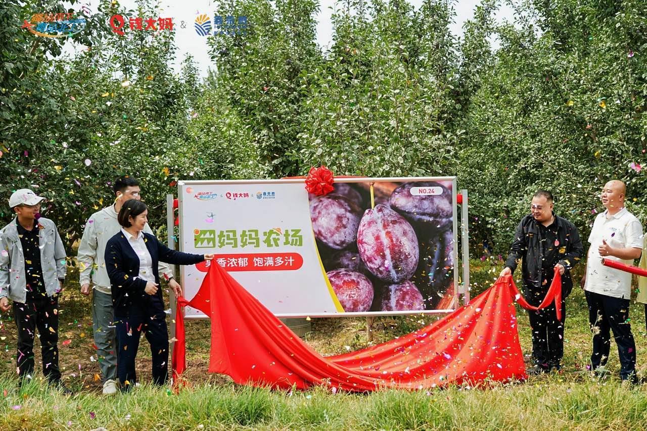 b4fc1eb0eec0e384ca4c4447aaf25650.png b4fc1eb0eec0e384ca4c4447aaf25650.png