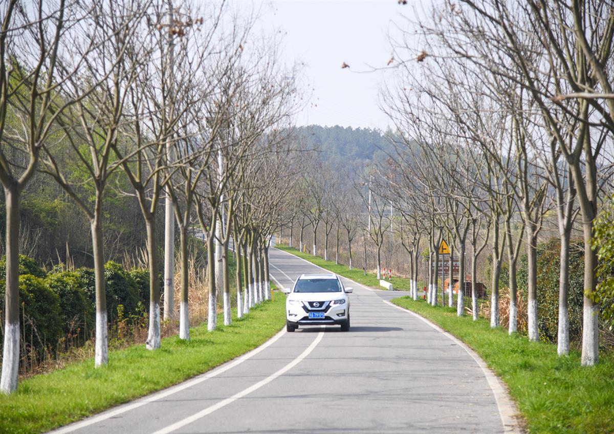 微信图片_20250402171248.jpg 微信图片_20250402171248.jpg