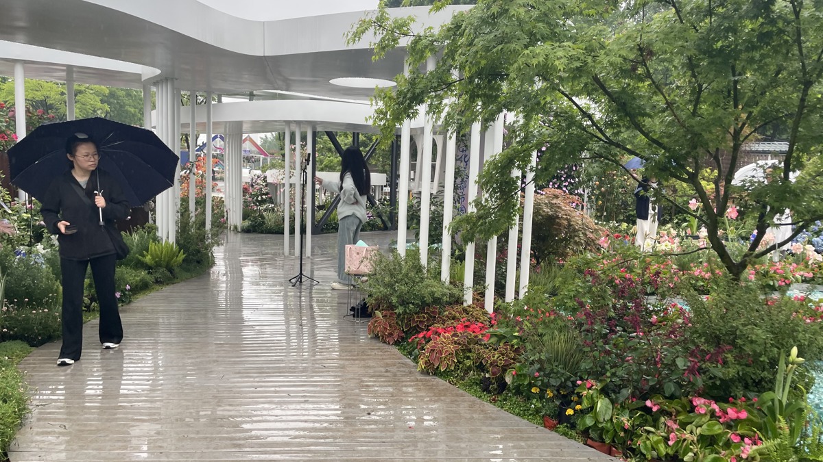 雨中武汉园.jpg