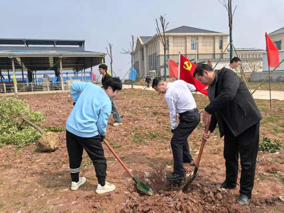 图片3.png 图片3.png