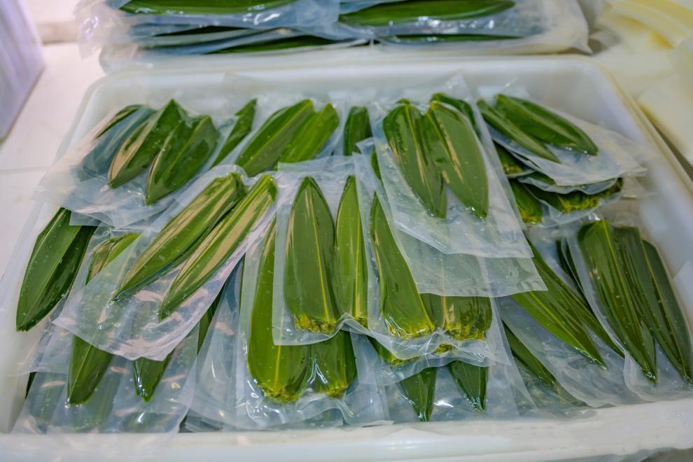 图片8.png 图片8.png