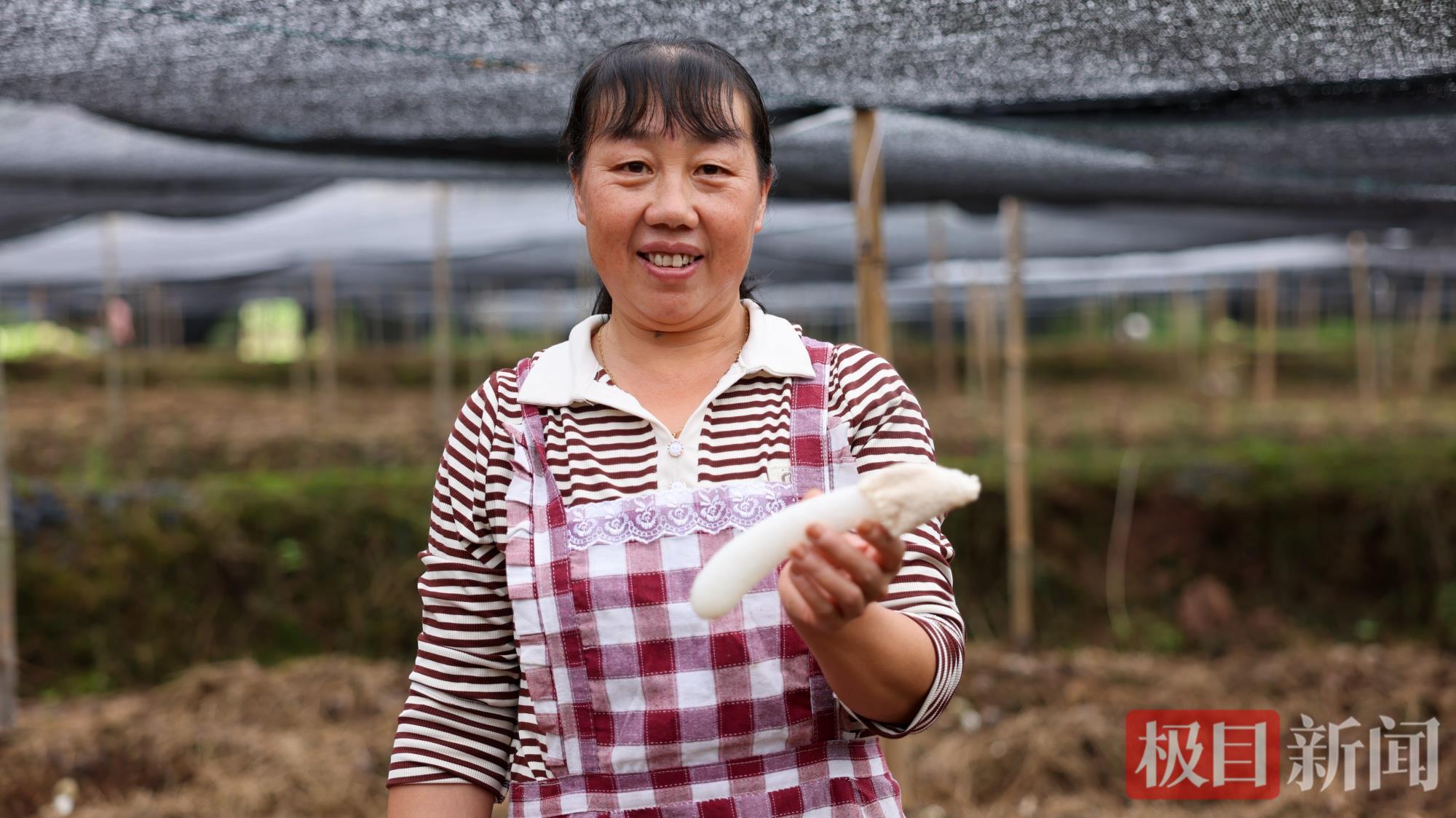 mmexport1750906492980.jpg mmexport1750906492980.jpg