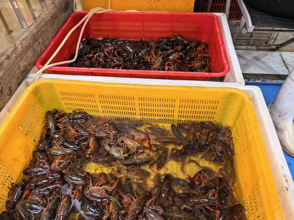 7C9B1CD0F50DB9D39E2B557AE4081ADB.jpg 7C9B1CD0F50DB9D39E2B557AE4081ADB.jpg