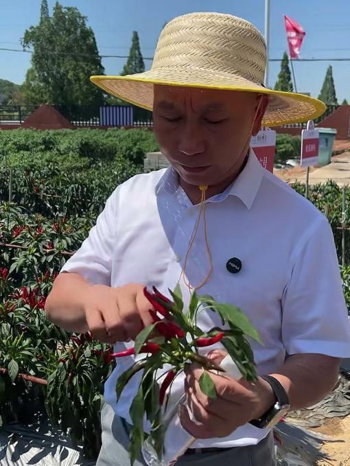 图片3.png 图片3.png