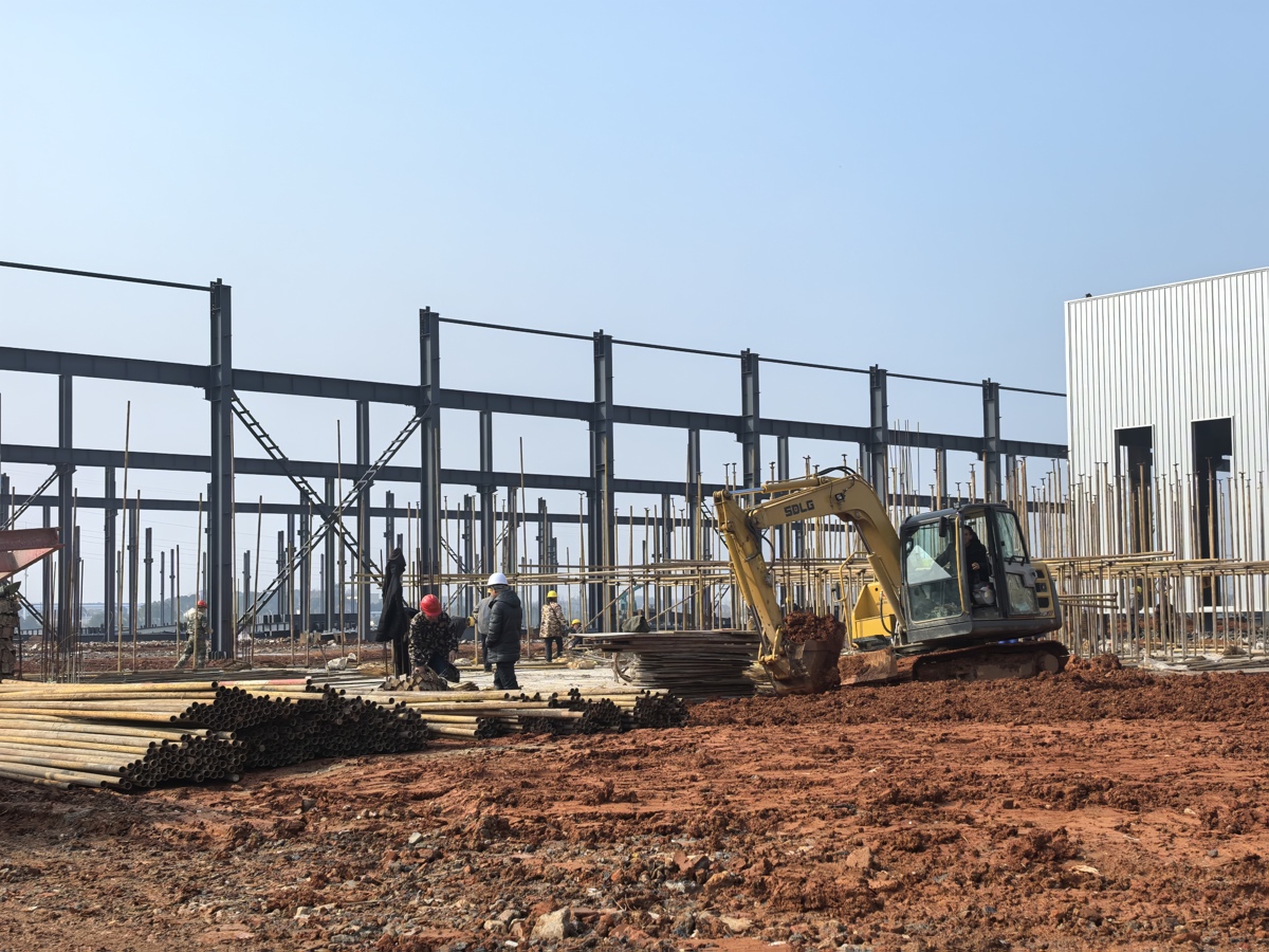 W020260310420951499646.jpg W020260310420951499646.jpg