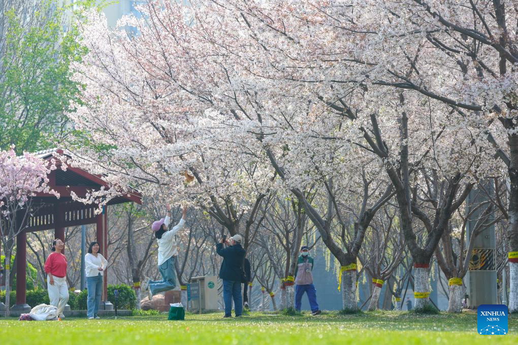 Spring scenery across China | 极目新闻