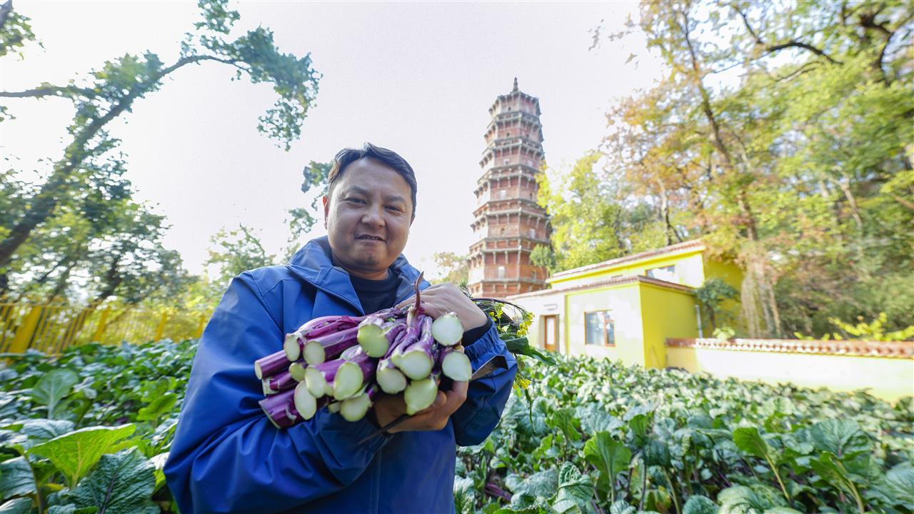 cb202412251503084172078vuv.jpg cb202412251503084172078vuv.jpg