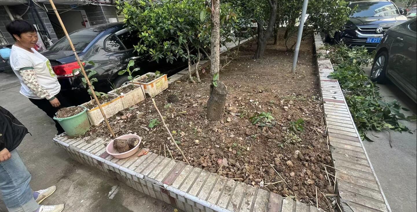 图片9.png 图片9.png