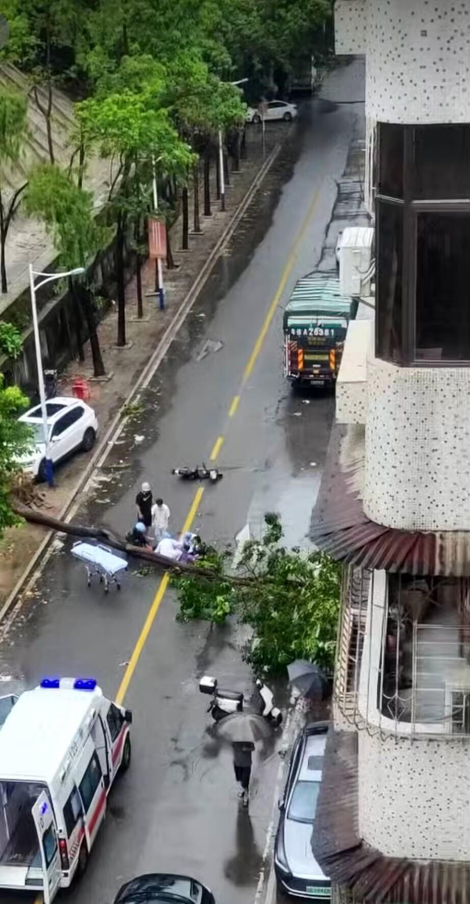 AFC80AEF87946CD2A4A5530FBCE8A7AB.jpg AFC80AEF87946CD2A4A5530FBCE8A7AB.jpg