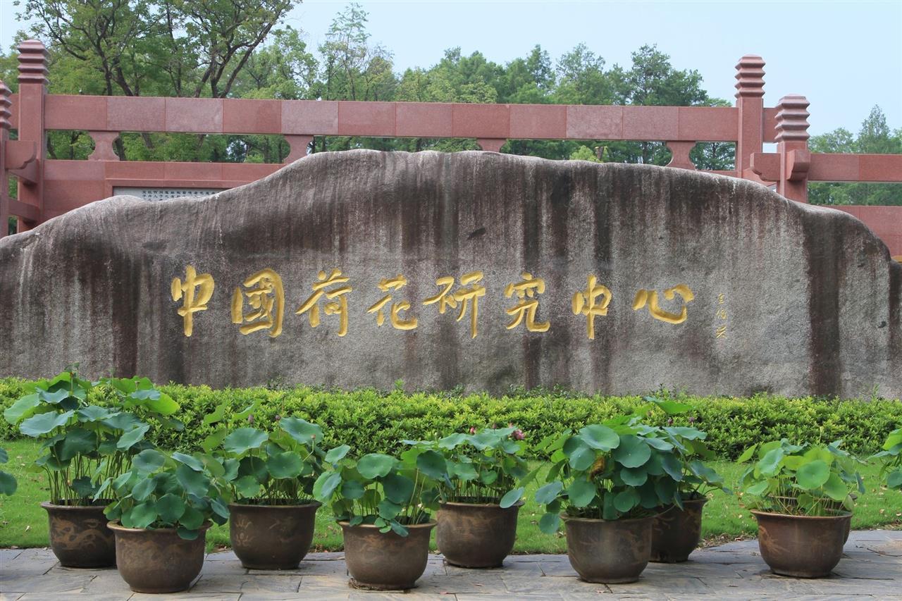 298a3c57890c42aa9e984d43b8568183_pub_cb20250605164059947349919v.jpg 298a3c57890c42aa9e984d43b8568183_pub_cb20250605164059947349919v.jpg