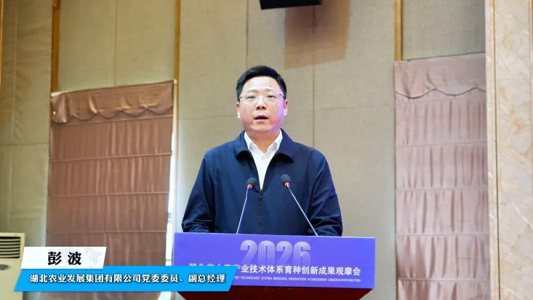 图片9.png 图片9.png