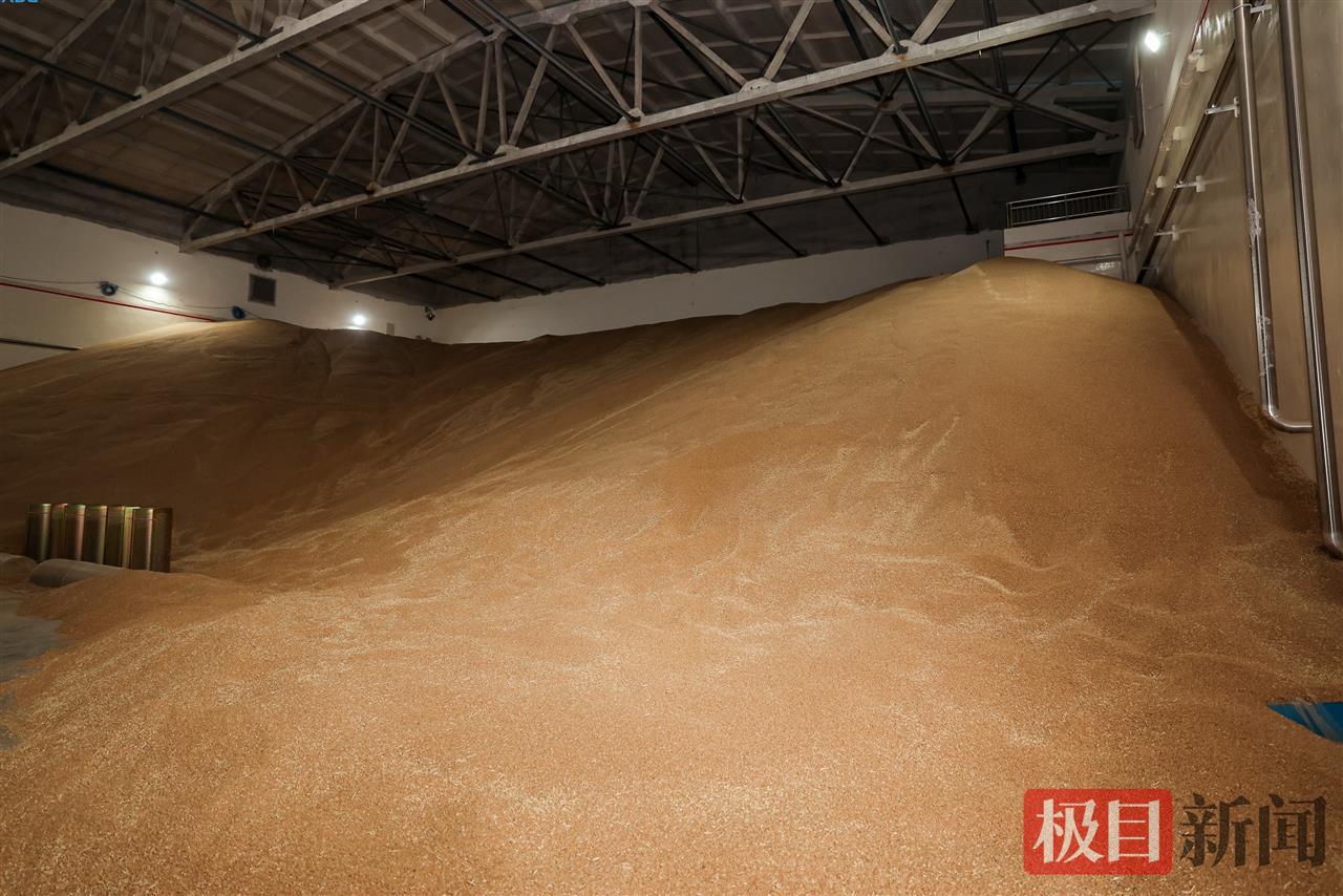 库容22万吨！武汉最大的储备粮库竣工投产 | 极目新闻