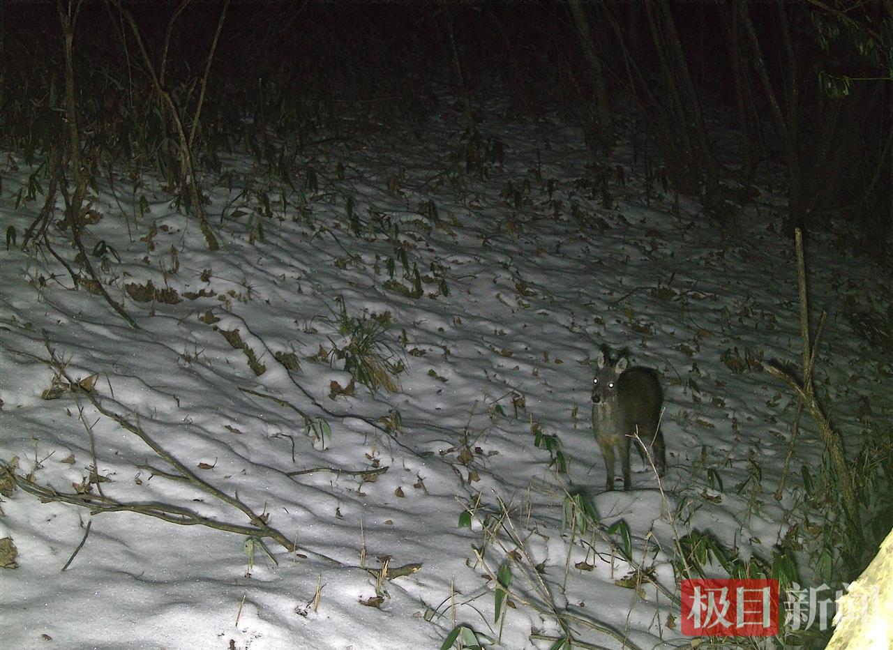 图片3.png 图片3.png