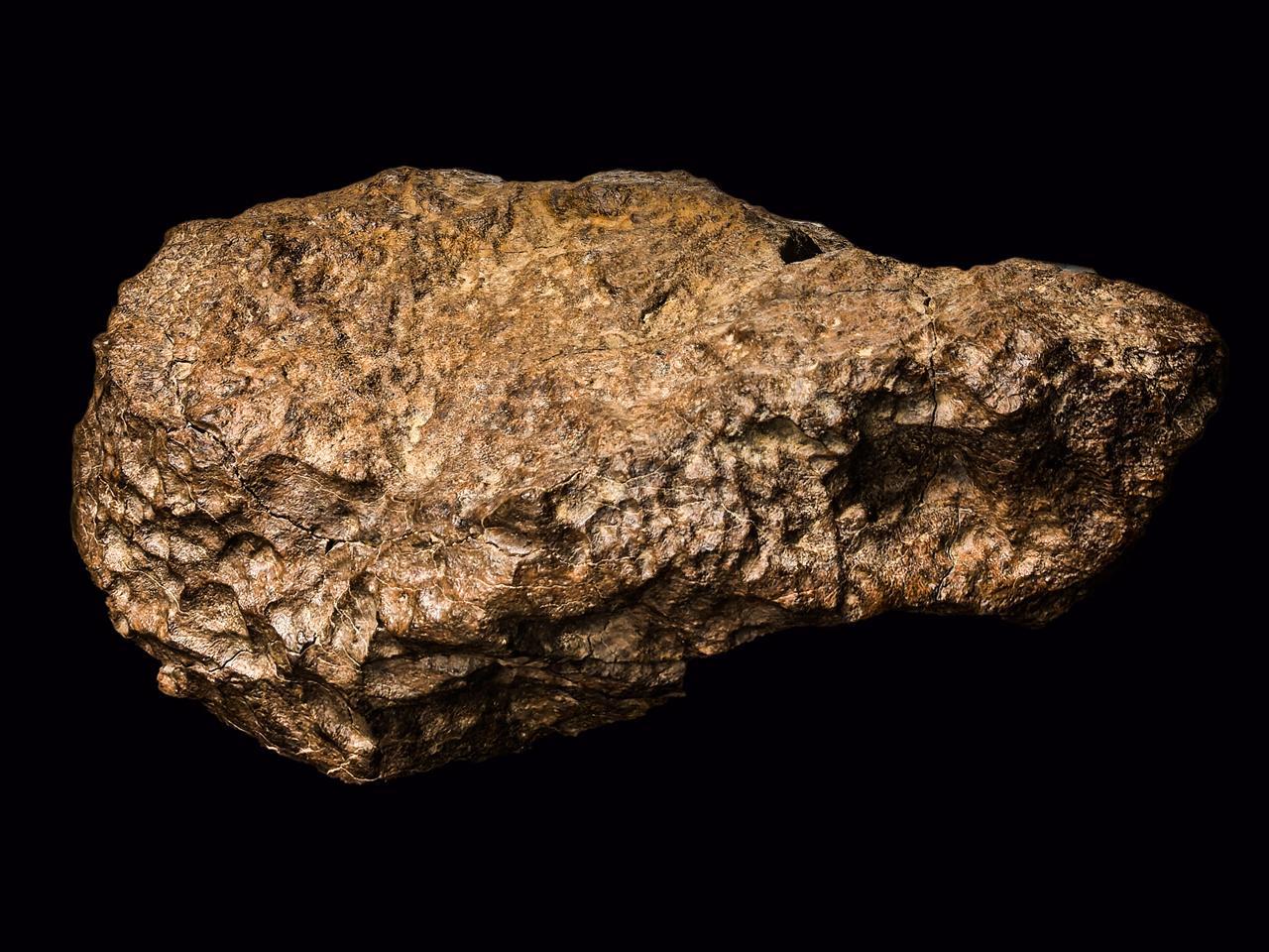 mmexport1752480641232.jpg mmexport1752480641232.jpg