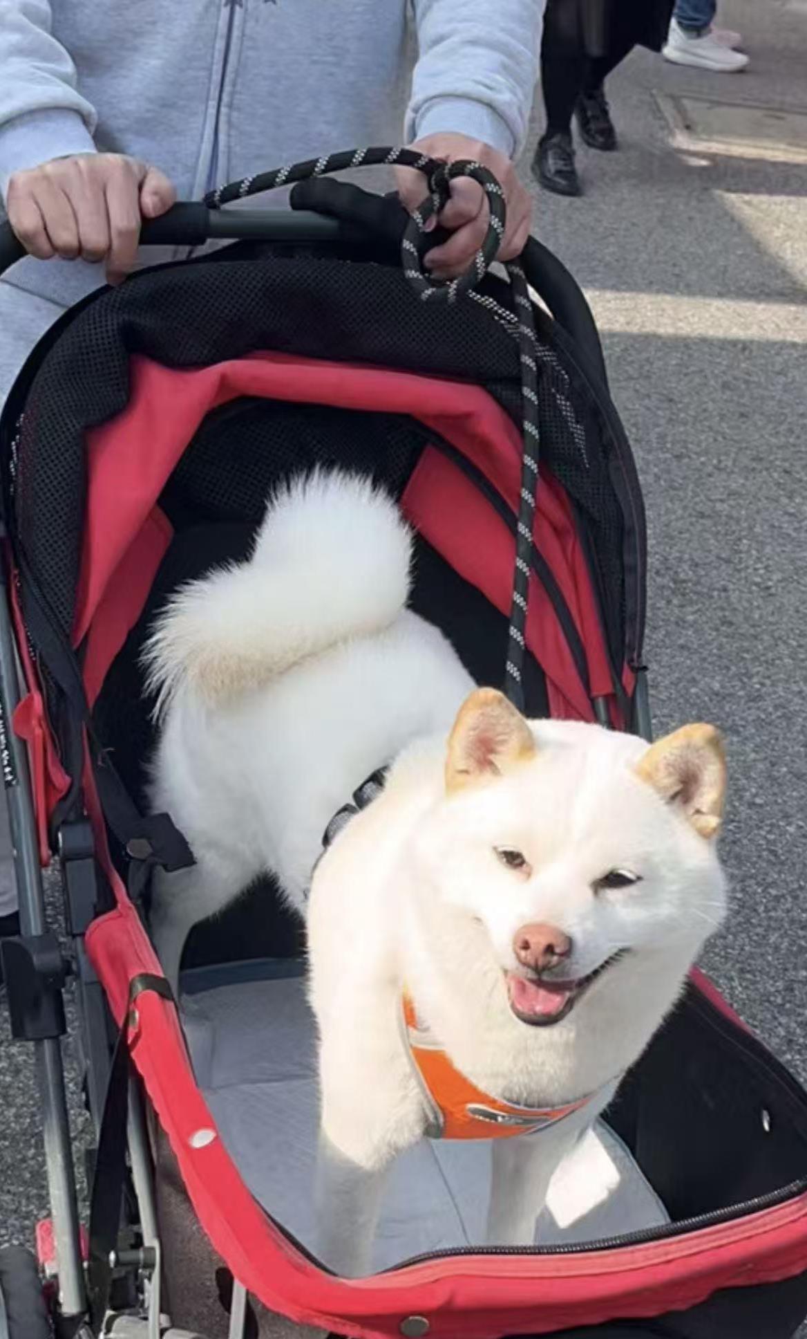 193AF2FB591F89568C4E997054960737.png 193AF2FB591F89568C4E997054960737.png