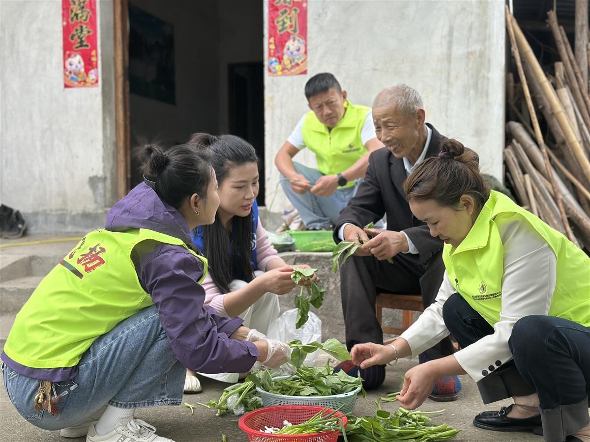 微信图片_20250423100300.jpg 微信图片_20250423100300.jpg