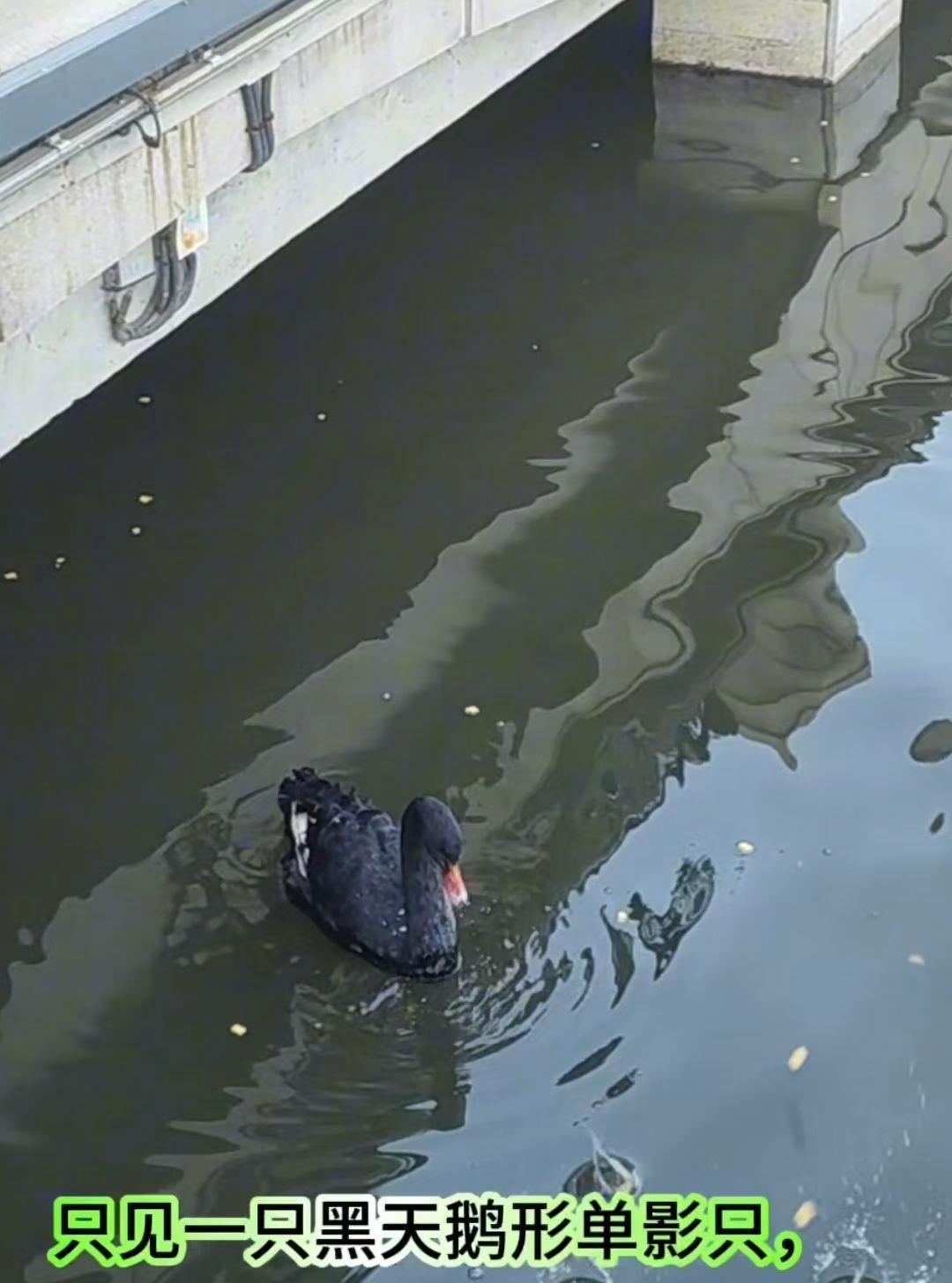 微信图片_20260103111648_845_69.jpg 微信图片_20260103111648_845_69.jpg