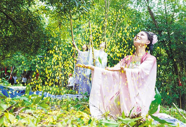Sweet-scented osmanthus in full bloom in Xianning | 极目新闻