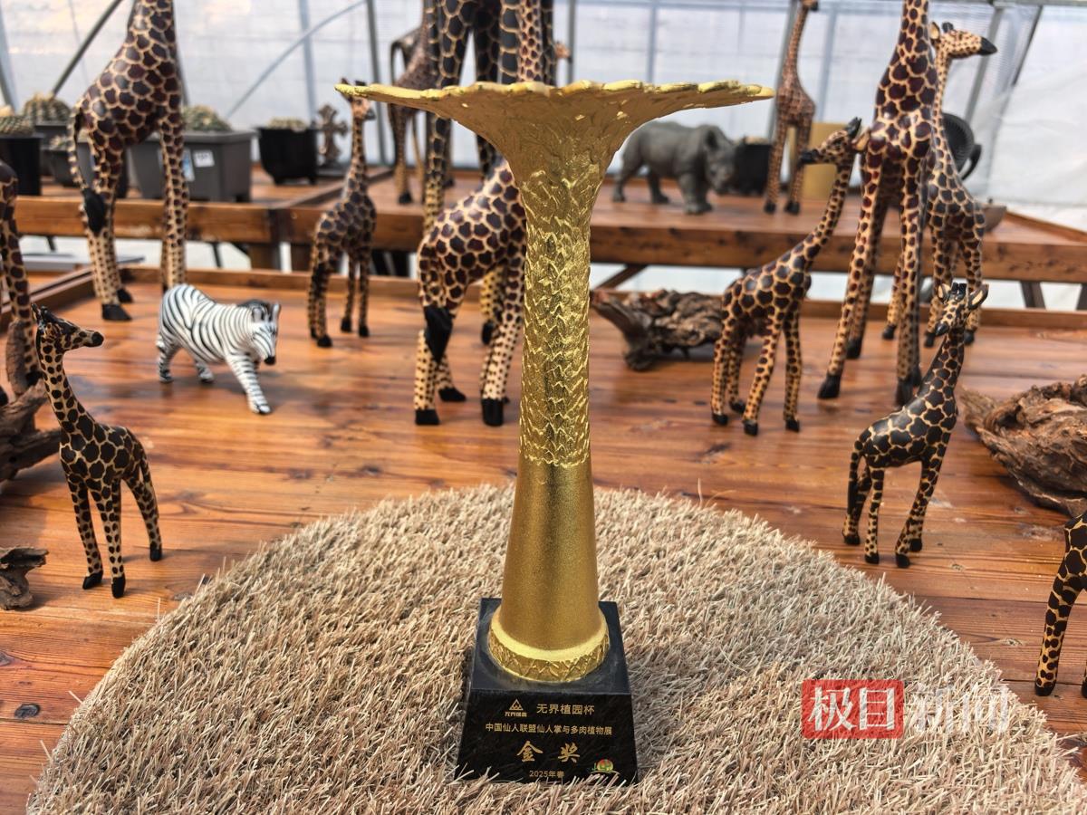 933d72675e8afff3d8ad2c5f0c6e2a19.jpg 933d72675e8afff3d8ad2c5f0c6e2a19.jpg