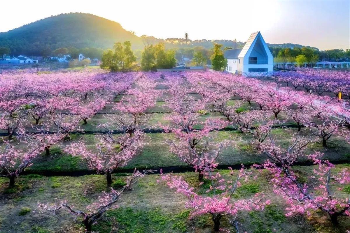 640 (4).jpg 640 (4).jpg