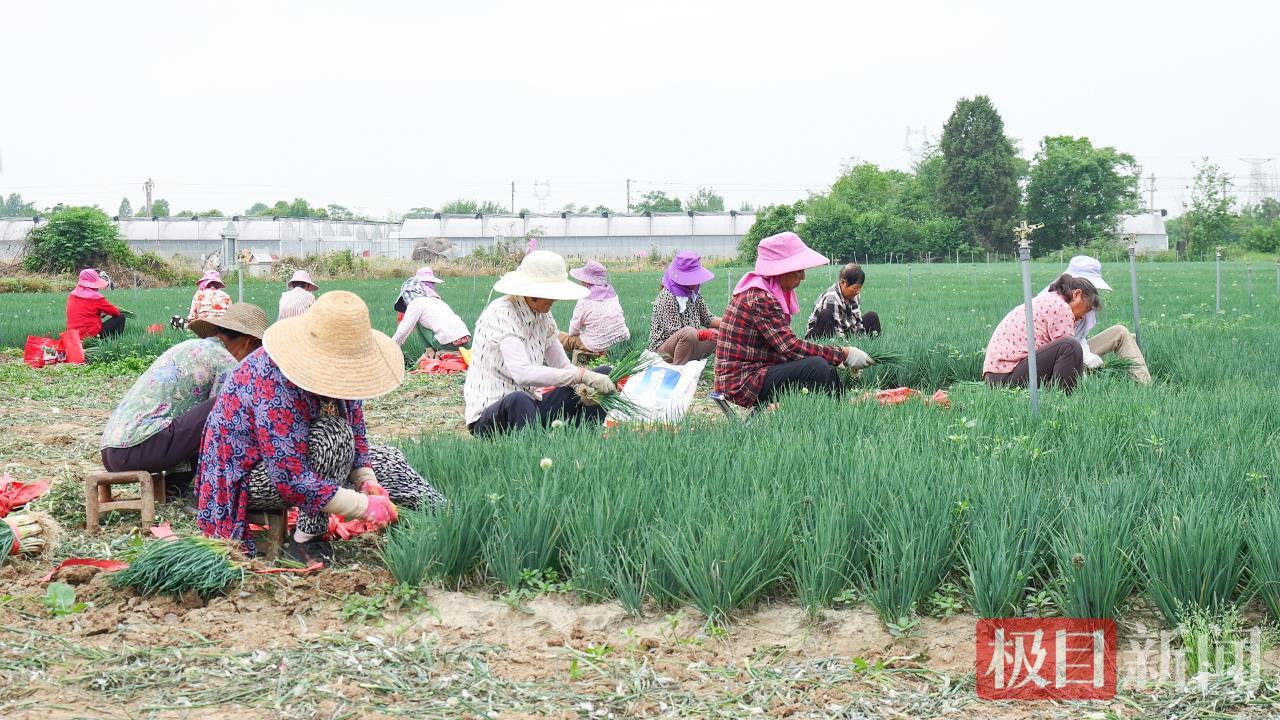 微信图片_20250523154742.png 微信图片_20250523154742.png