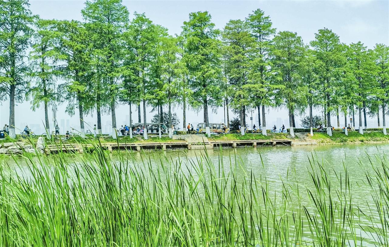 1379286_周末,初夏的舒适感回来了!_1.jpg 1379286_周末,初夏的舒适感回来了!_1.jpg