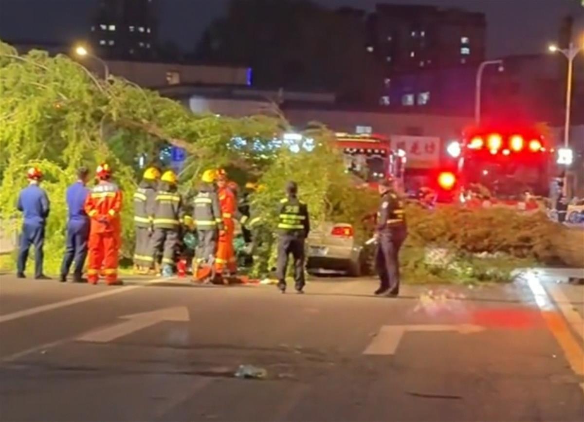 长春街头大树被风连根拔起砸中路过小车，驾驶室凹陷成V型，车上人员躲过一劫