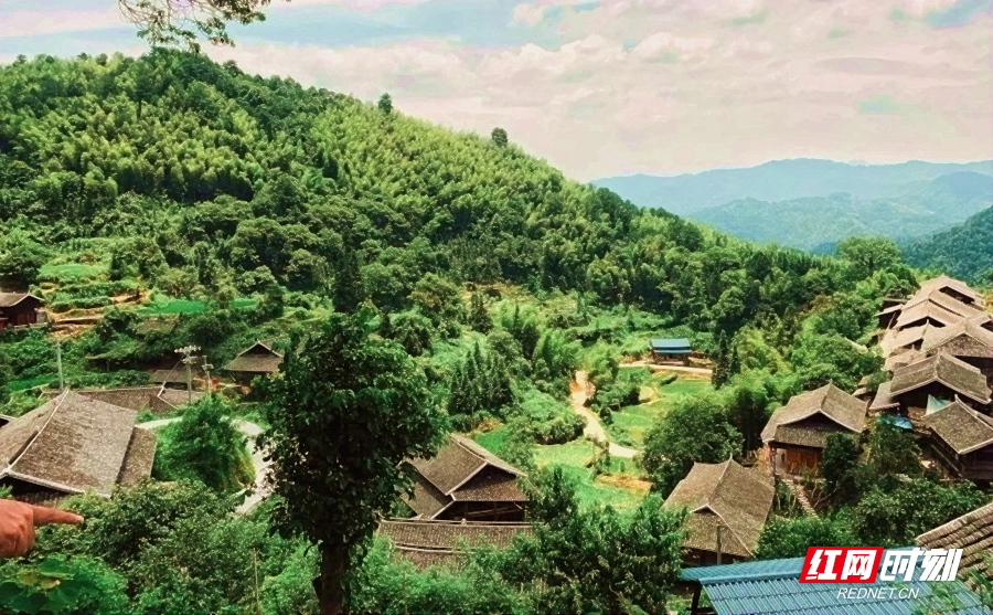怀化，一个怀景怀乡怀味的地方 | 极目新闻