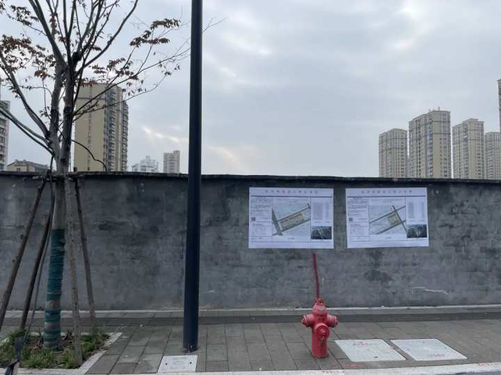花样年退地，违约金高达6.5亿元！如今变成了共有产权房和公租房 | 极目新闻