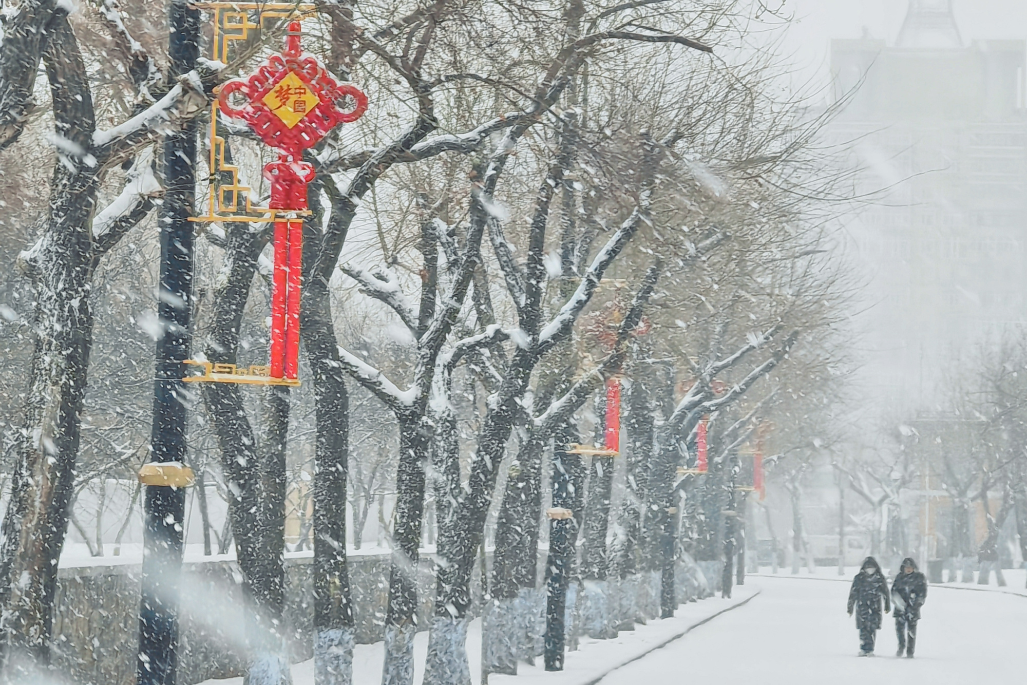 哈尔滨，下雪了！ | 极目新闻