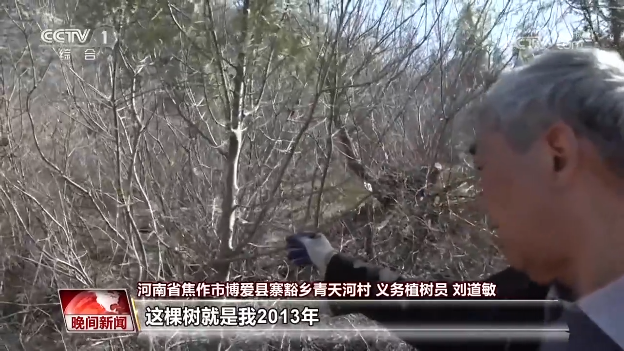 播撒绿色种子 共建美丽中国 | 极目新闻