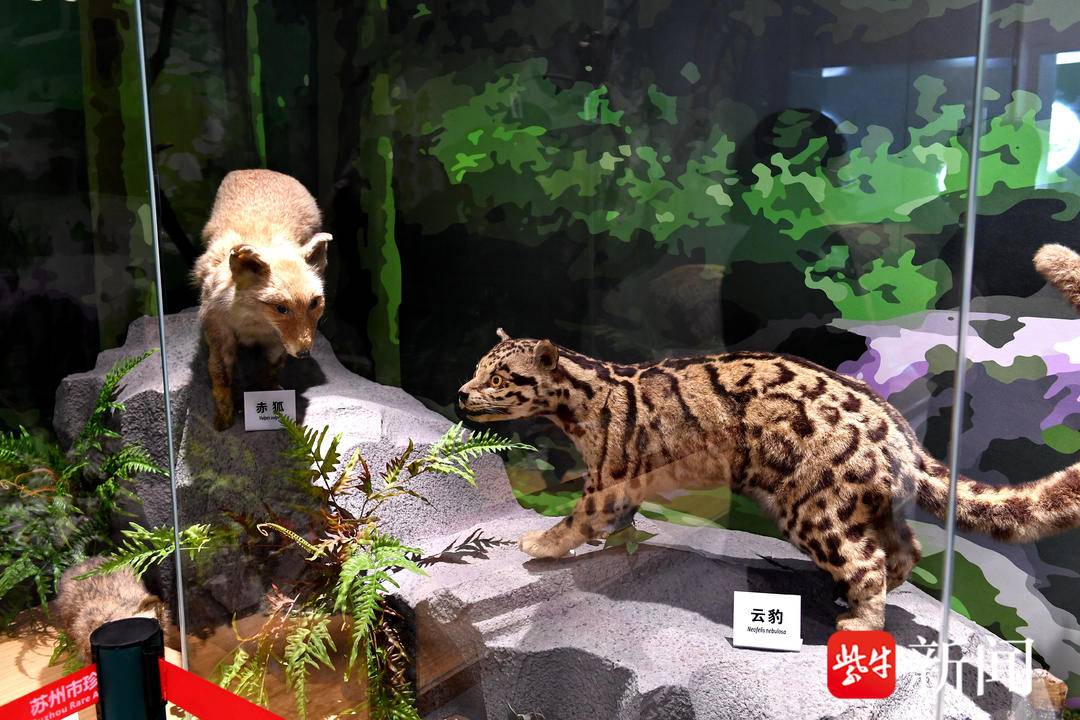 苏州市珍稀动物科普馆开馆 | 极目新闻