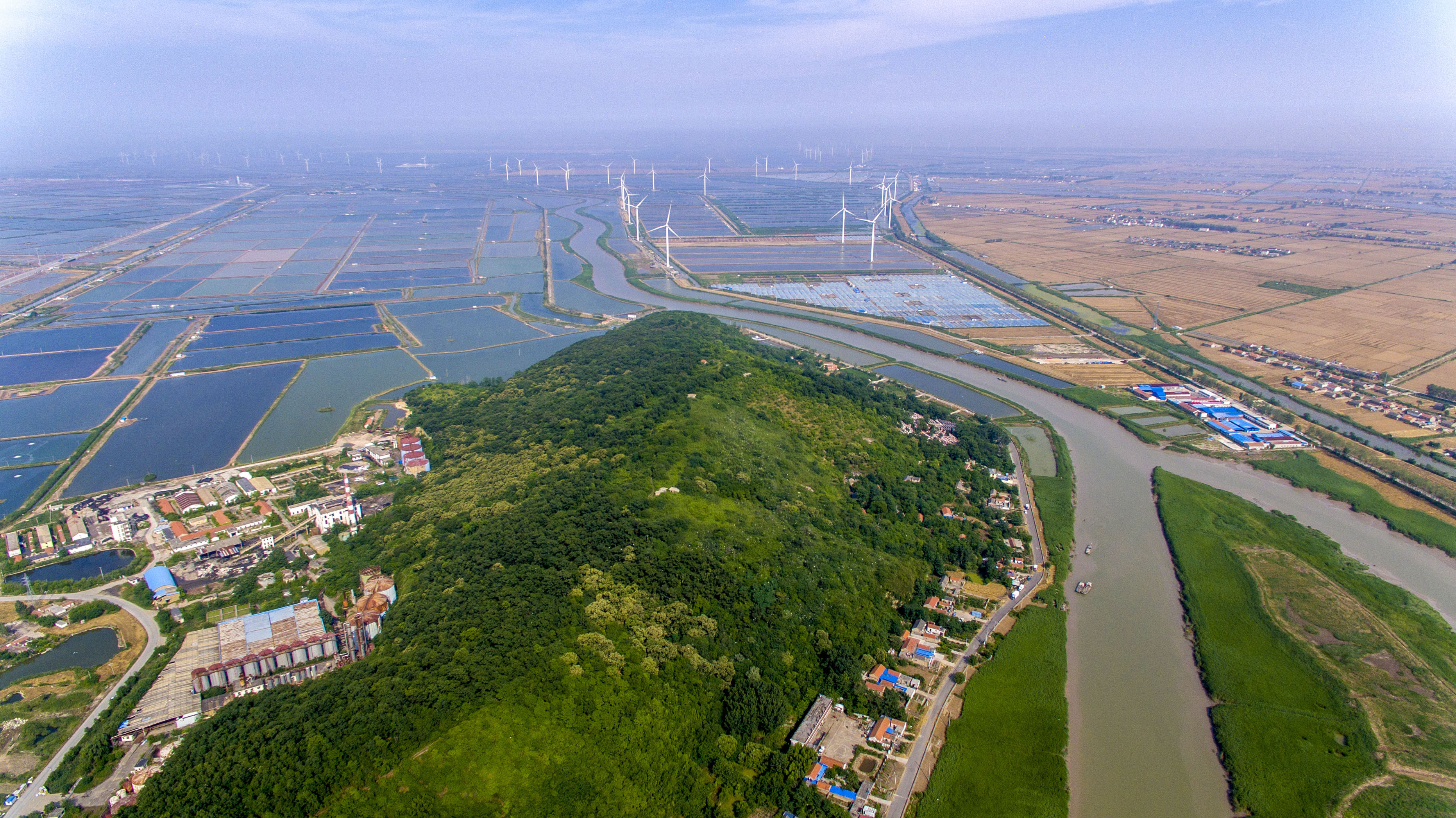 连云港市通榆河管理处:全力护堤岸 汛期保安澜 | 极目新闻