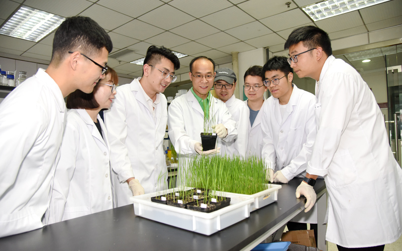 李国田教授团队.川竹摄