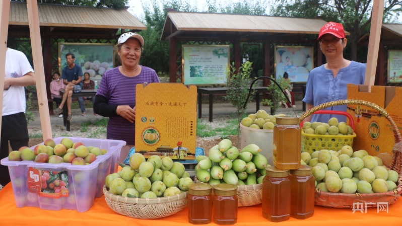 北京密云区"中国御皇李子之乡"举办李子文化节