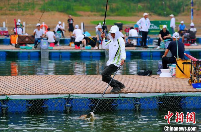 当阳白河水库钓鱼图片