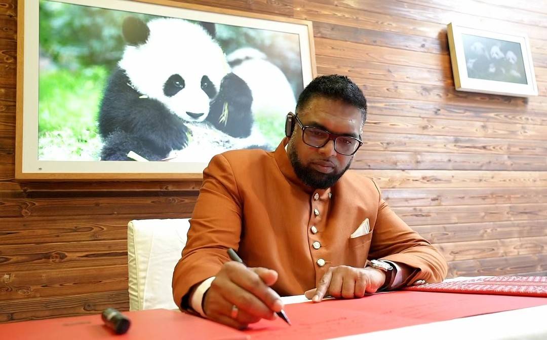 圭亚那总统阿里访川:沉浸式感受巴蜀文化魅力 邀请中国企业去投资