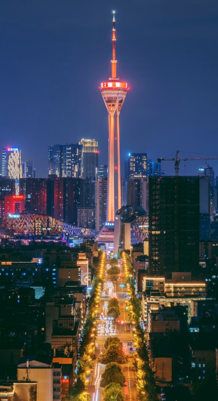 成都夜景图6_副本.jpg