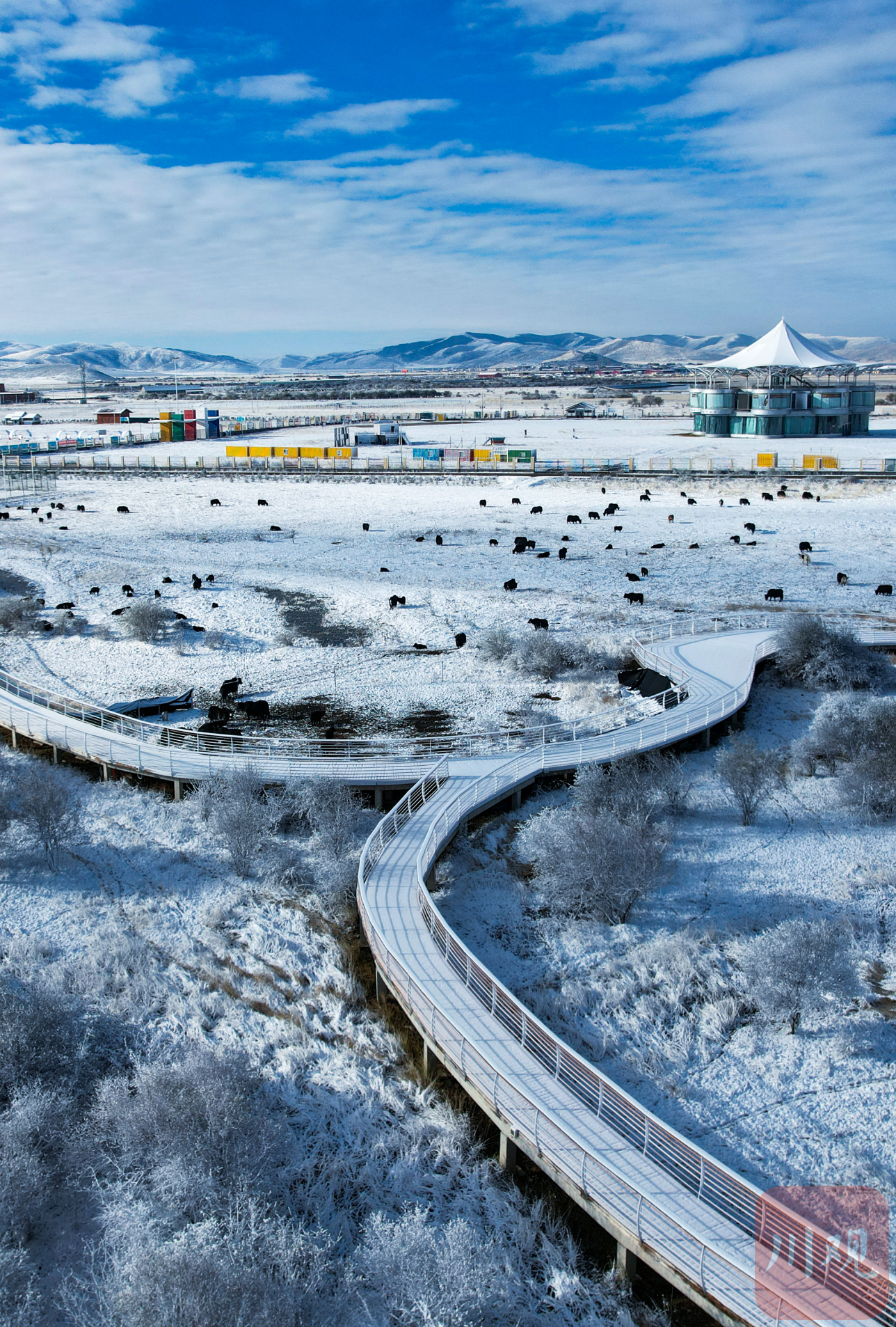 雪花飘落 红原大草原开启雪景模式
