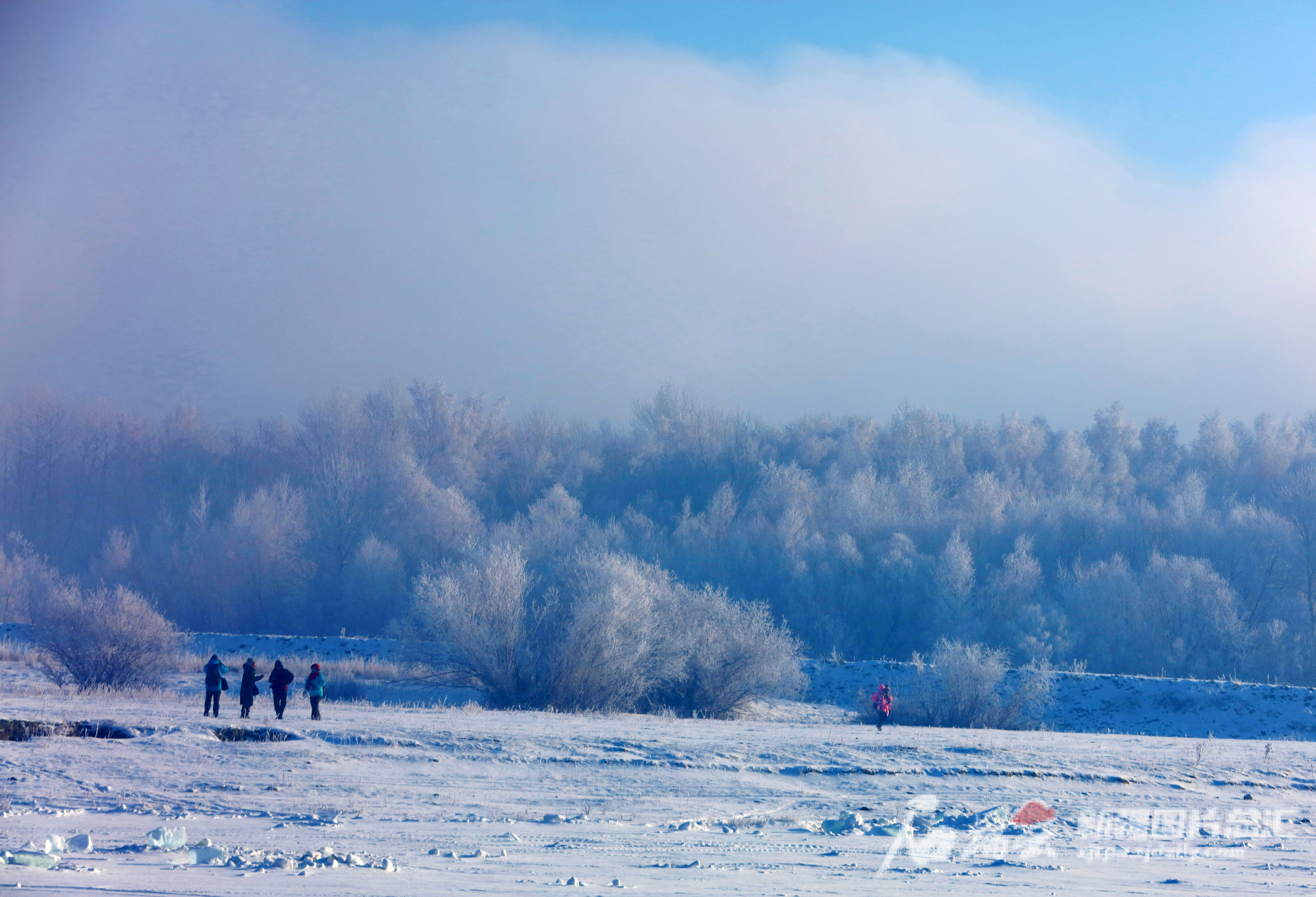 戏雪赏景冬天的快乐是雪给的