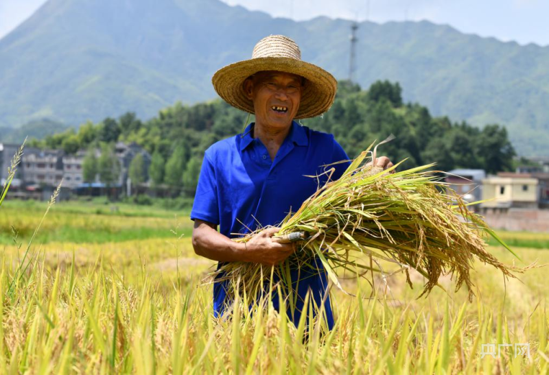 8万亩,实现了2022年耕地进出平衡,并确保全市耕地保有量增加2.7万亩.